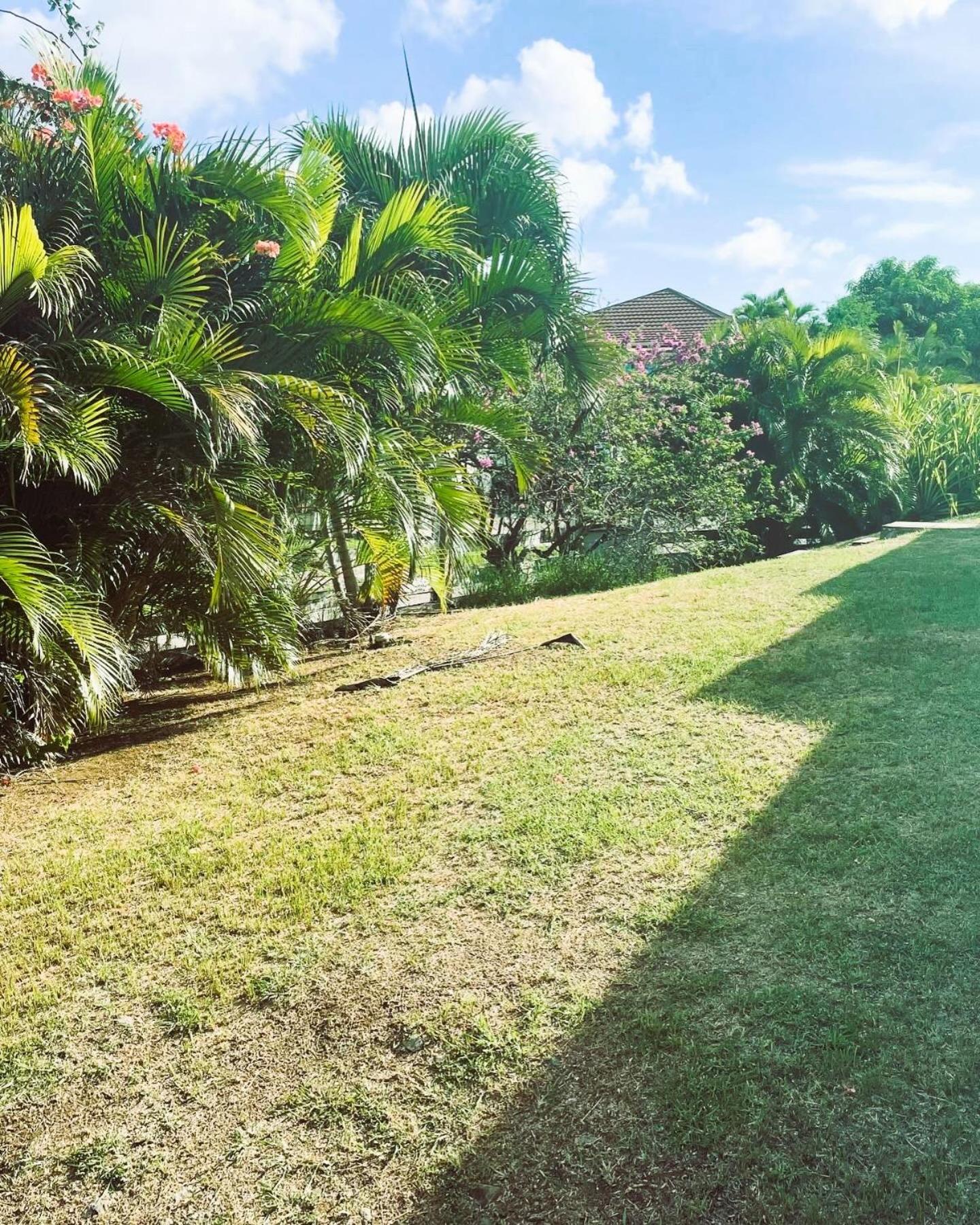 Villa Caraibes Sainte-Luce Exterior foto